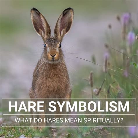 The Hare as a Messenger of the Gods in Pagan Traditions